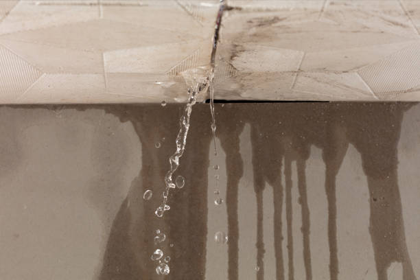 Professional Flood Damage Cleanup technician working in Lakeview, OH